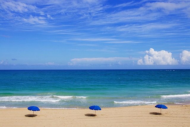beach-1209229_640